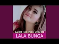 Download Lagu Cubit Tak Mau Dicubit