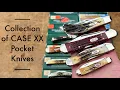Rare Finds Exploring 15 CASE XX Pocket Knives with Stag and Bone Handles Cheetah Cub Trapper etc