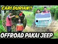 OFFROAD JEEP SAMBIL HUNTING DURIAN!! AYAH DAN DIMAS DAPET DURIAN MINI??