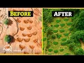 Download Lagu A genius way to restore dead soil