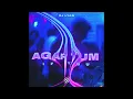 Download Lagu DJ LYAN - AGAR TUM