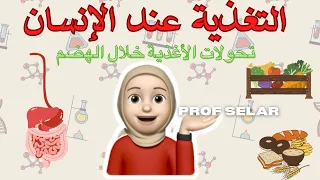 جزء 00 التغذية عند الإنسان تحولات الأغذية خلال الهضم 1 الرابعة متوسط Bem 