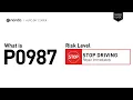 What is P0987 Engine Code Quick Guide