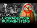 Fake Pumpkins Don t Have to Look Cheap