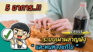 ทำไมถึงต้องกินอาหารทุกๆ 2 ชั่วโมงถึงจะไม่รู้สึกหงุดหงิดหรือเวียนหัว?