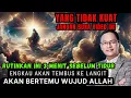 Lagu Amalan ini mampu membuatmu menembus langit bertemu cahaya sejati #syaifulkarim #dzikir #hakikat