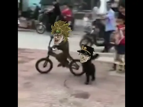 DIO VS Jotaro