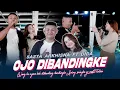 Download Lagu Ojo Dibadingke - Sasya Arkhisna ft Dida (Official Music Live) Wong ko ngene kok dibanding-bandingke