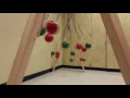 Bocce Ball Pendulum Snake Wave Machine