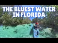 Is Kayaking the Weeki Wachee River Worth It FULL Review Tips