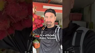 Breakwater Supply 100% Waterproof Backpack 💦🚫🎒#ad #drybag #breakwatersupply #sailingbyefelicia