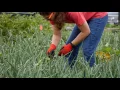 Owens Corning Intern Community Service Day