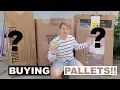 BUYING WHOLESALE LOWES RETURN PALLETS HOW TO MAKE MONEY