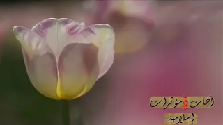 آهات ومؤثرات صوتية بدون موسيقى رائعة جدا  لبرامج المونتاج  بحث عنها الكثير دندنها