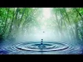 Download Lagu VELIKA TAJNA SE CUVA - Cudesni IZVOR zivota 