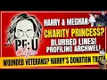 The Princess of Profit The Blurred Lines of Harry Meghan s Charities