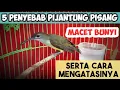 Download Lagu PENYEBAB BURUNG PIJANTUNG PISANG MACET BUNYI DAN CARA MENGATASINYA