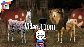 Las Llamas Responden en Halloween, especial video 100 | TobiAnimados