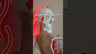 What are CHEEKBONES Doctor Explains