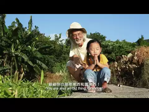 1+1 電影預告片