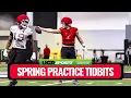 UGASports LIVE What can you learn about your team in spring ball