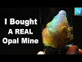 I Bought an OPAL MINE
