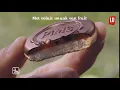 Download Lagu 9497   Mondelez   Lu   Awareness   Collection Pims BumperAds   06s   NL