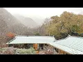 Lagu 향기동백이 피고 첫눈이 내리는 시골집❄️🍂 | 산국차, 은행 줍기, 가을걷이 | 스티치 자수