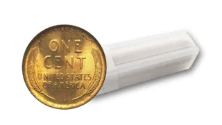 Look at this new bu wheat penny collection! #treasure #bank #collecting #coins