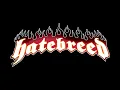 Hatebreed  - To the Threshold