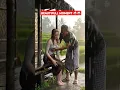 Download Lagu Beautiful moment in the rain 🌧 #rainsounds #rainoundforsleep #villagelife