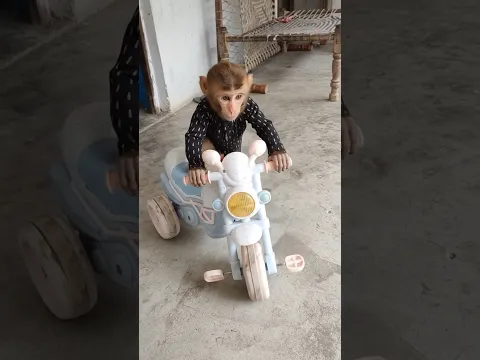 cute Toy Motorcycle🚴