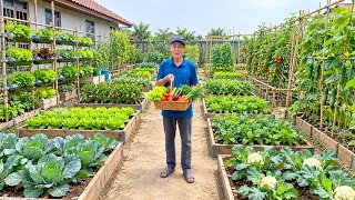 The Best Ways I Grow Fresh Vegetables Without a Garden Using Things I Already Have