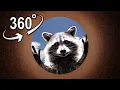 Pedro Pedro Pedro - Raccoon Meme VR 360