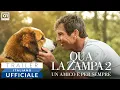 Video di QUA LA ZAMPA 2 (2020) - Trailer Italiano HD