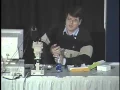Human Evolution Crash Course History