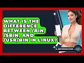 What Is The Difference Between bin sbin And In Linux - All About Operating Systems