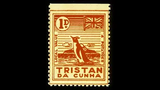 7 Nov 2024 Canvas lady & Bonus