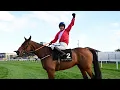 Lagu Envoi Allen makes history with record third Down Royal Champion Chase win | Racing TV