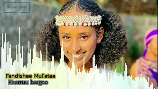 Best Oromo Music Fandishee Mul Ataa Kaarruu Bargoo Haddaar Tube 