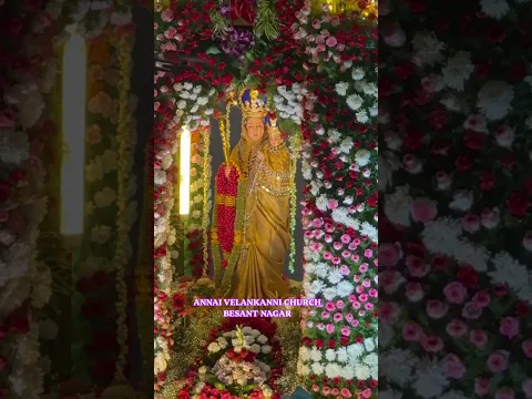 ANNAI VELANKANNI CHURCH ⛪️ BESANT NAGAR #besantnagar #annaivelankanni #festival