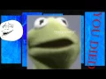Kermit is Triggered