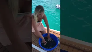 Laundry on a Sailboat ⛵️ #shorts