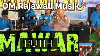 Download OM.Rajawali Feat #RaraLida #dangdut _ Mawar Putih _ || WARNA WARNI || ANTONI DAYUNG MP3