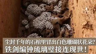 尘封千年的石棺里冒出白色珊瑚状花朵？铁剑编钟琉璃璧接连现世 溧阳黄土下究竟还藏了多少未解之谜？《探索·发现》走进发掘现场（93） |  中华国宝