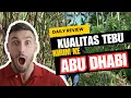 Download Lagu Review Tebu Mau Ekspor ke Abu Dhabi, Beneran Kualitas Sultan? 👑🤣| Daily Review | Sales Komedi