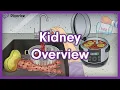 Kidney Overview Mnemonic for MCAT