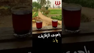 ياهوى الزقازيق يا شرقاوى شفيقة 