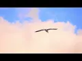 生きてるだけでえらいよ