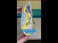 NEW Dr Seuss Collection
